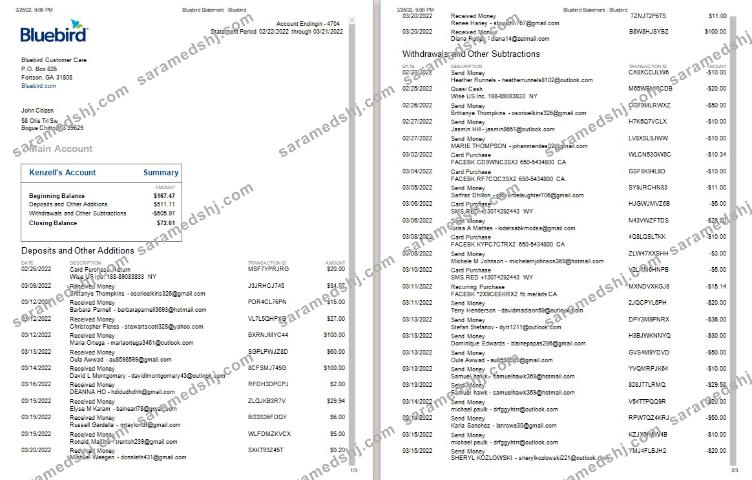 USA Bluebird bank statement Word and PDF template, 3 pages, version 2